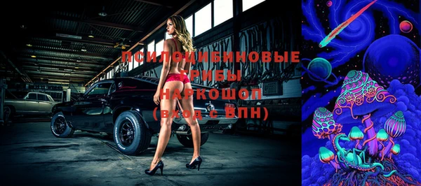дживик Абинск