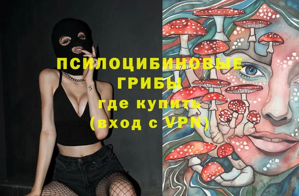 дживик Абинск