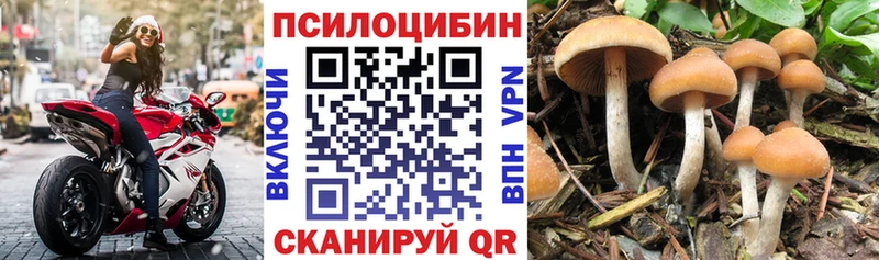 KRAKEN ONION  Ливны  Псилоцибиновые грибы Psilocybe 