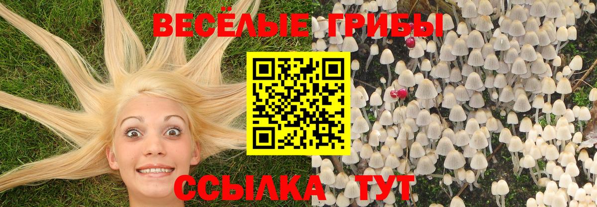 Галлюциногенные грибы Psilocybe  Вход с VPN  Галлюциногенные грибы Magic Shrooms  Ливны 